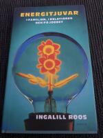Energitjuvar : i familjen, i relationen och p&aring; jobbet