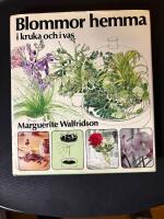 Blommor hemma i kruka och vas