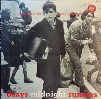Searching For The Young Soul Rebels
