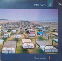 A Momentary Lapse Of Reason