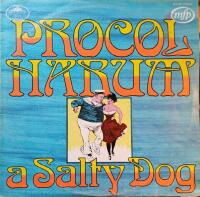 A Salty Dog