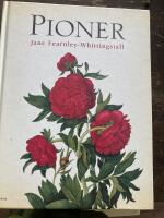 Pioner