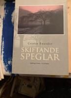 Skiftande speglar : ess&auml;er & portr&auml;tt
