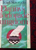 Dannys f&ouml;rlorade ungdom