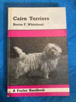 Cairn terriers