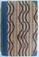 Bortom stj&auml;rnorna