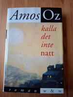 Kalla det inte natt : roman