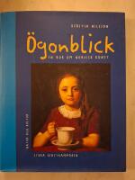 &Ouml;gonblick : En bok om nordisk konst