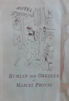 Humlan och orkid&eacute;n : ett avsnitt ur verket P&aring; spaning efter det f&ouml;rflutna