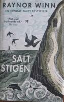 Saltstigen