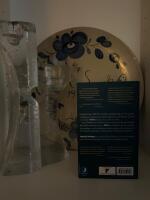 Pillret : en ber&auml;ttelse om depressioner och doktorer, forskare och Freud, m&auml;nniskor och marknader