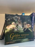 Golden retriever till nytta och n&ouml;je