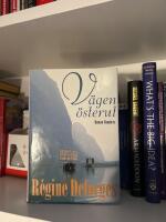 V&auml;gen &ouml;sterut