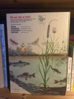 Naturen : djur, v&auml;xter, tr&auml;d