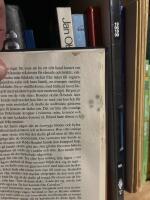 Vindarnas sk&aring;l : Sagan om drakens &aring;terkomst, del 13