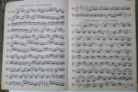 Tv&aring; noth&auml;ften f&ouml;r &ouml;vning violoncello, cello, Sebastian Lee