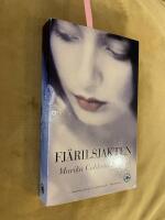 Fj&auml;rilsjakten : roman