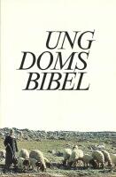 Ungdomsbibel