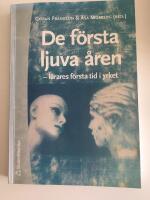 De f&ouml;rsta ljuva &aring;ren : l&auml;rares f&ouml;rsta tid i yrket