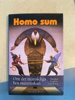 Homo sum : om det m&auml;nskliga hos m&auml;nniskan