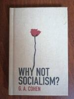Why not socialism?