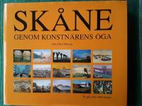 Sk&aring;ne genom konstn&auml;rens &ouml;ga