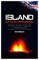 Island efter Ragnar&ouml;k : om konsten att skapa en finanskrasch och snabbt ta sig ur den