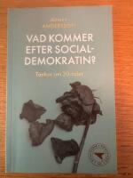 Vad kommer efter socialdemokratin? : tankar om 20-talet