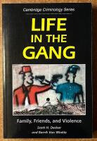 Life in the gang - Family, Friends, and Violence