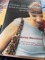 Flickan och skulden : en bok om samh&auml;llets syn p&aring; v&aring;ldt&auml;kt