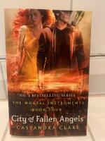 City of Fallen Angels