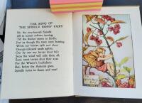 Flower Fairies of the Autumn