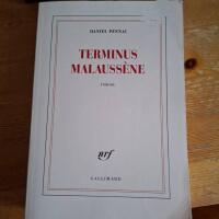 Terminus malaussene. Les cas Malaussene, 2. Roman.
