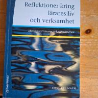 Reflektioner kring l&auml;rares liv och verksamhet : Montessoril&auml;rares yrkesber&auml;ttelser