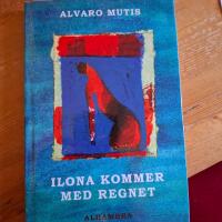 Ilona kommer med regnet
