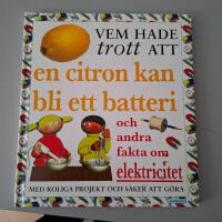 Vem hade trott att en citron kan bli ett batteri