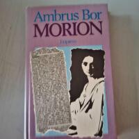 Morion : roman