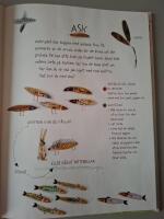 Floras naturpysslor : skapa med blad, kottar och stenar