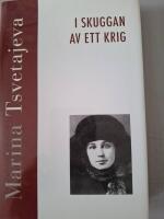 I skuggan av ett krig - m&ouml;ten och samtal 1917-1919