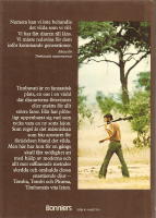 De vita lejonen i Timbavati.