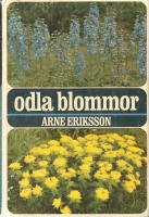 Odla blommor.