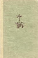 Die gestohlene Braut. Roman.