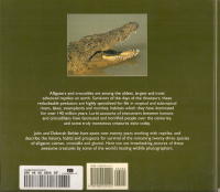 Alligators & crocodiles.