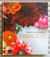 Dahlior