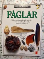 F&aring;glar : [f&aring;glarnas sp&auml;nnande v&auml;rld i n&auml;rbild - deras utveckling, beteende, milj&ouml; och hemliga liv]