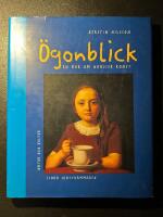 &Ouml;gonblick : En bok om nordisk konst