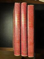 Det XIX &aring;rhundradet i ord och bild I-III