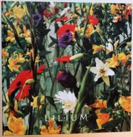 Lilium : m&aring;leri och installation av Line Bergseth : Nordiska akvarellmuseet 18.3-29.4. 2001