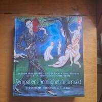 Sympatiens hemlighetsfulla makt - Stockholms homosexuella 1860-1960