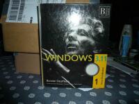Windows 3.11